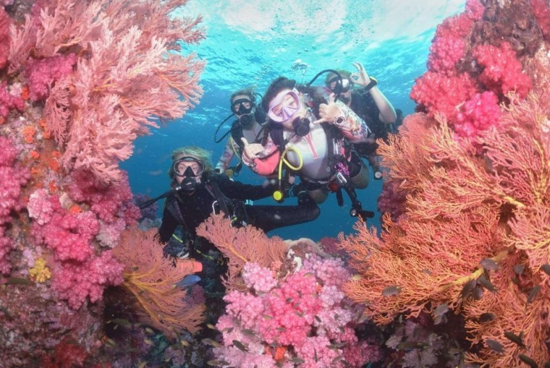 Koh Lipe Scuba Diving - Fun Dive Trips (Certified Diver)